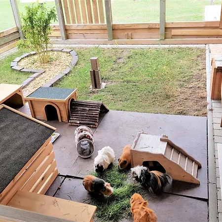 Lejlighed Gutshaus O1 Femern